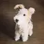ichihazimeのプロフィール画像