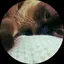 あずさのプロフィール画像