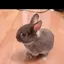 akihoのプロフィール画像