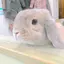 ここのプロフィール画像