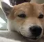 くるみのプロフィール画像