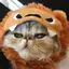 あいのプロフィール画像