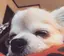 なるのプロフィール画像