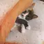 よっしーのプロフィール画像