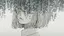 りおのプロフィール画像