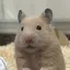 アヤカのプロフィール画像