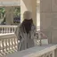 momokoのプロフィール画像