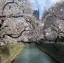 なのプロフィール画像