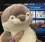 あのプロフィール画像