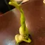 Rのプロフィール画像