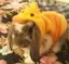 みゆのプロフィール画像