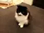 ゆのプロフィール画像