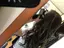 たにやんのプロフィール画像