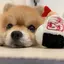 Mnmのプロフィール画像