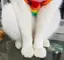 NJRTMEのプロフィール画像