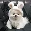 ユウのプロフィール画像
