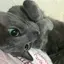 めぐみのプロフィール画像