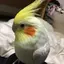 りゅーすけのプロフィール画像