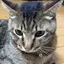 まめのプロフィール画像