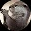 ももこたのプロフィール画像