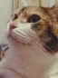 なぎのプロフィール画像