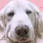 れおさんのプロフィール画像