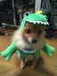 きゃんのプロフィール画像