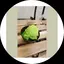 りえのプロフィール画像