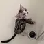 なつのプロフィール画像