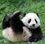 ぱんのプロフィール画像