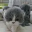 さのプロフィール画像