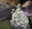 菜々美のプロフィール画像