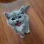 カナのプロフィール画像