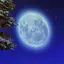 moonのプロフィール画像