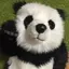 pocoのプロフィール画像