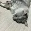 かおりのプロフィール画像