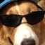 ころんのプロフィール画像