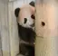 きよみのプロフィール画像