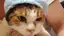 さくらい( ˙ᵕ˙ )のプロフィール画像