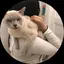ちひろのプロフィール画像