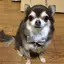 由衣のプロフィール画像