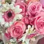 Meeのプロフィール画像