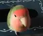 マーコのプロフィール画像