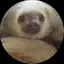 あいりぃのプロフィール画像