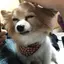 志歩のプロフィール画像