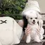YURIEのプロフィール画像