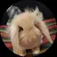 ゆーたんのプロフィール画像