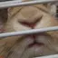 早紀のプロフィール画像