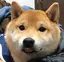 ミイのプロフィール画像