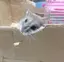 なるみのプロフィール画像